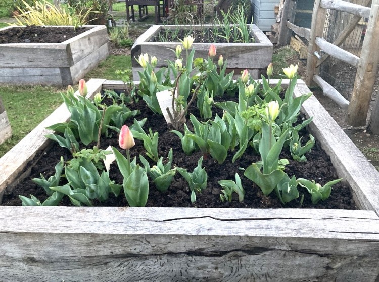 Images for Hill Ridware, Rugeley