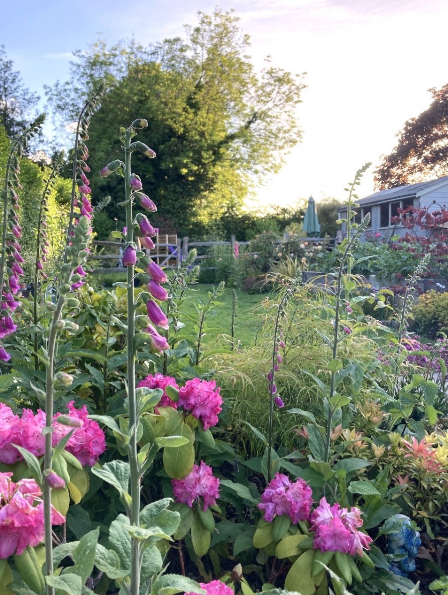 Images for Hill Ridware, Rugeley EAID: BID:lsp