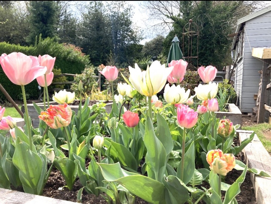 Images for Hill Ridware, Rugeley EAID: BID:lsp